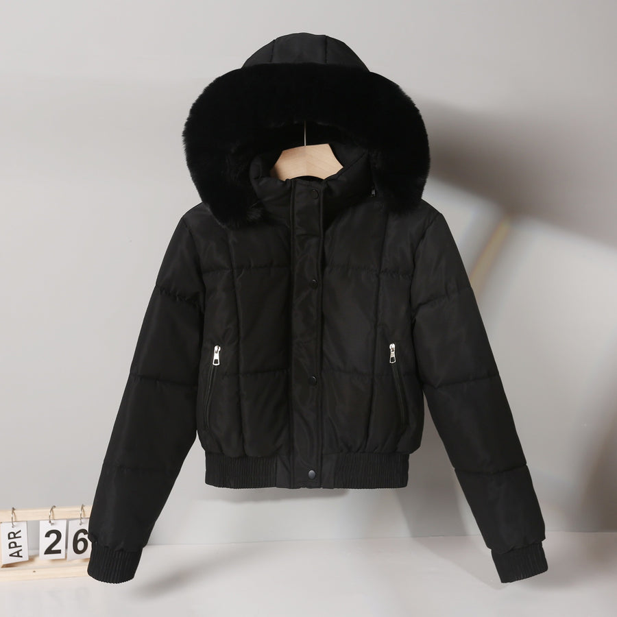 Short Cotton-padded Parka In Hong Kong And Korean Styles For Winter